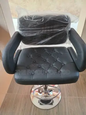 An Elegant Saloon Chair