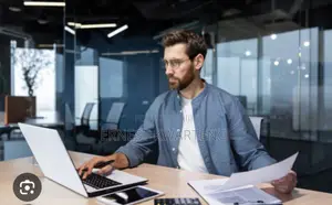 A Reputable Company Is Looking for an Auditor
