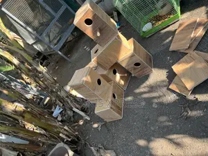 Breeding Nest Boxes