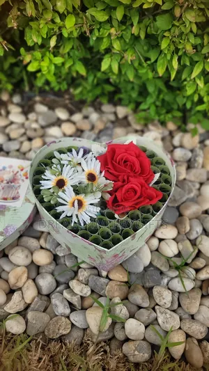 Money Bouquet/Box Gifts