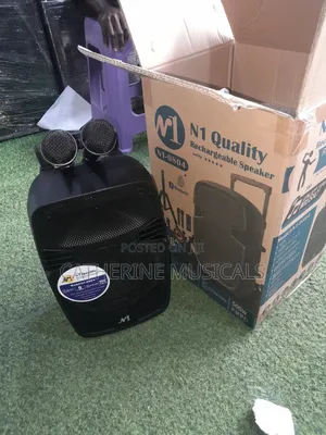 N1 8 Inches Bluetooth Speaker With Two Microphone