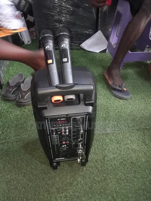 N1 8 Inches Bluetooth Speaker With Two Microphone