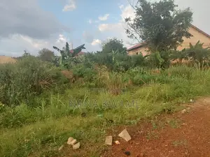 Good Land With Good Location