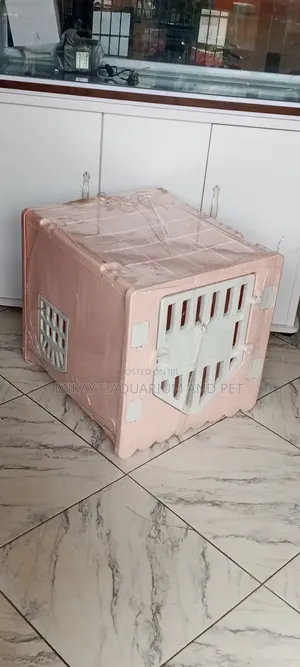 Plastic Medium Dog Cage