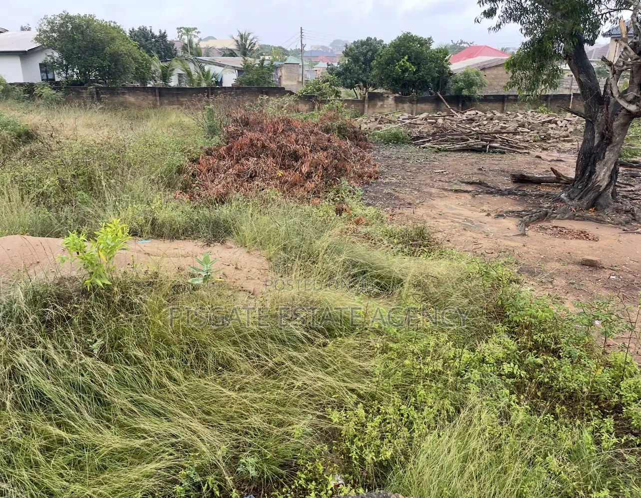 Two Plots of Land at Ga Odumanse