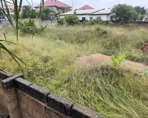 Two Plots of Land at Ga Odumanse