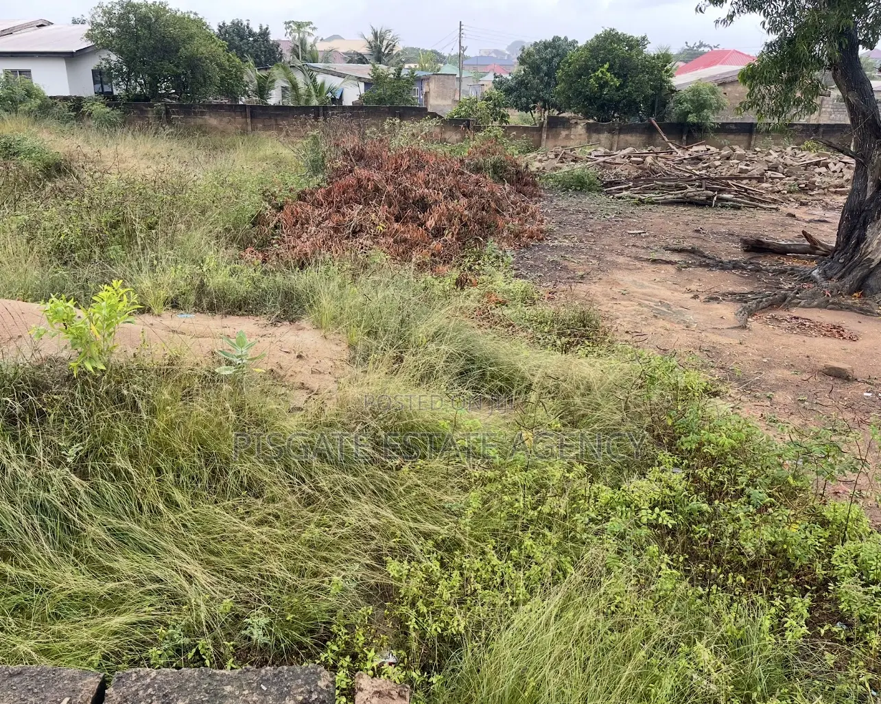 Two Plots of Land at Ga Odumanse