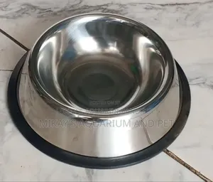 Small Dog Bowl