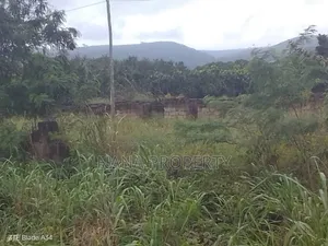 150 Acre's of Land for Sale Located at Oyibi Dowdowa Road