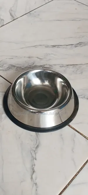 Small Dog Bowl for Feeding