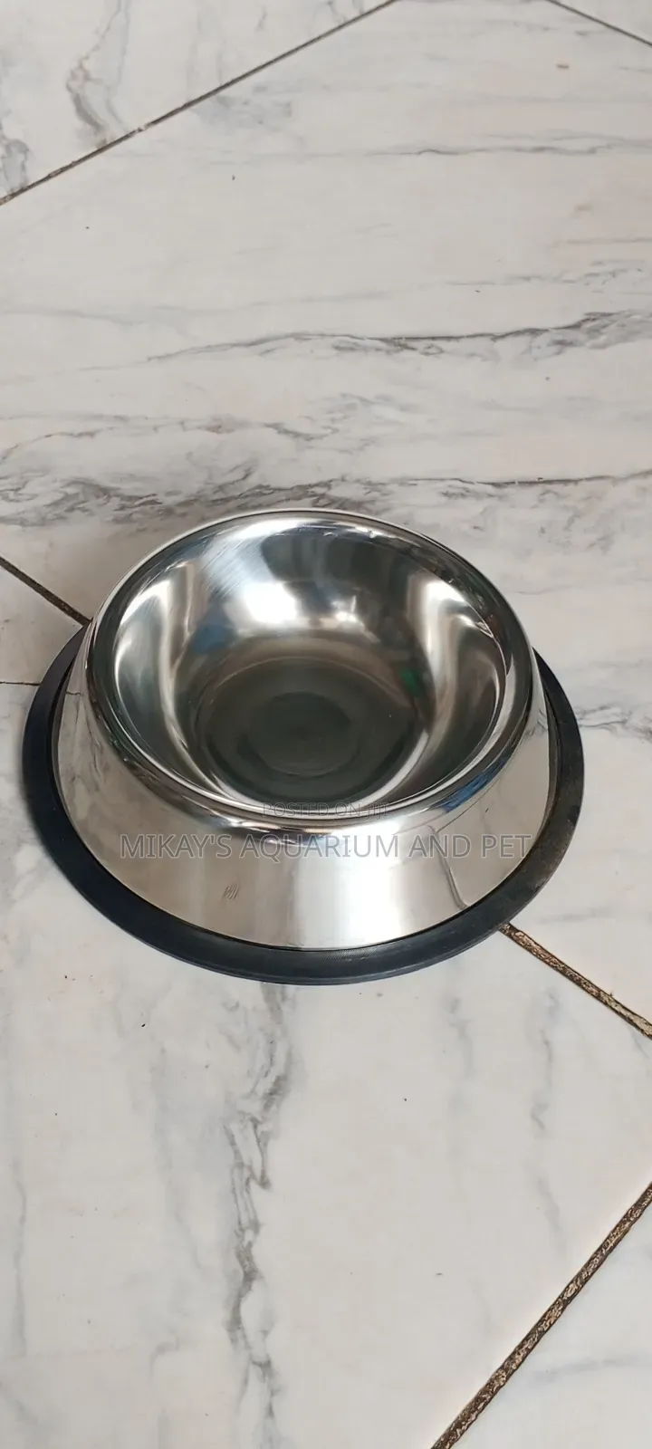 Small Dog Bowl for Feeding