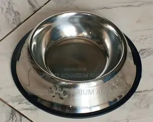 Large Dog Bowl for Feeding