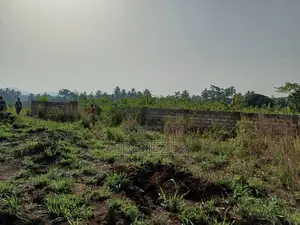 Multiple Registered Lands for Sale