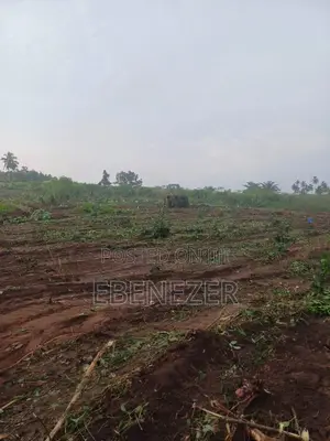 Multiple Registered Lands for Sale