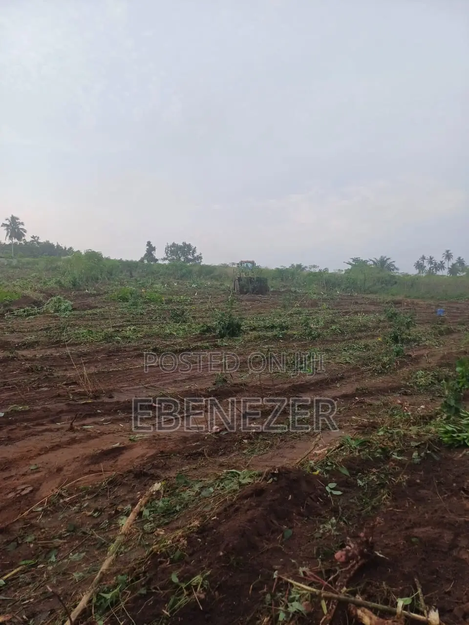 Multiple Registered Lands for Sale