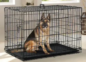 Super Strong Extra Large Metallic Dod Cage