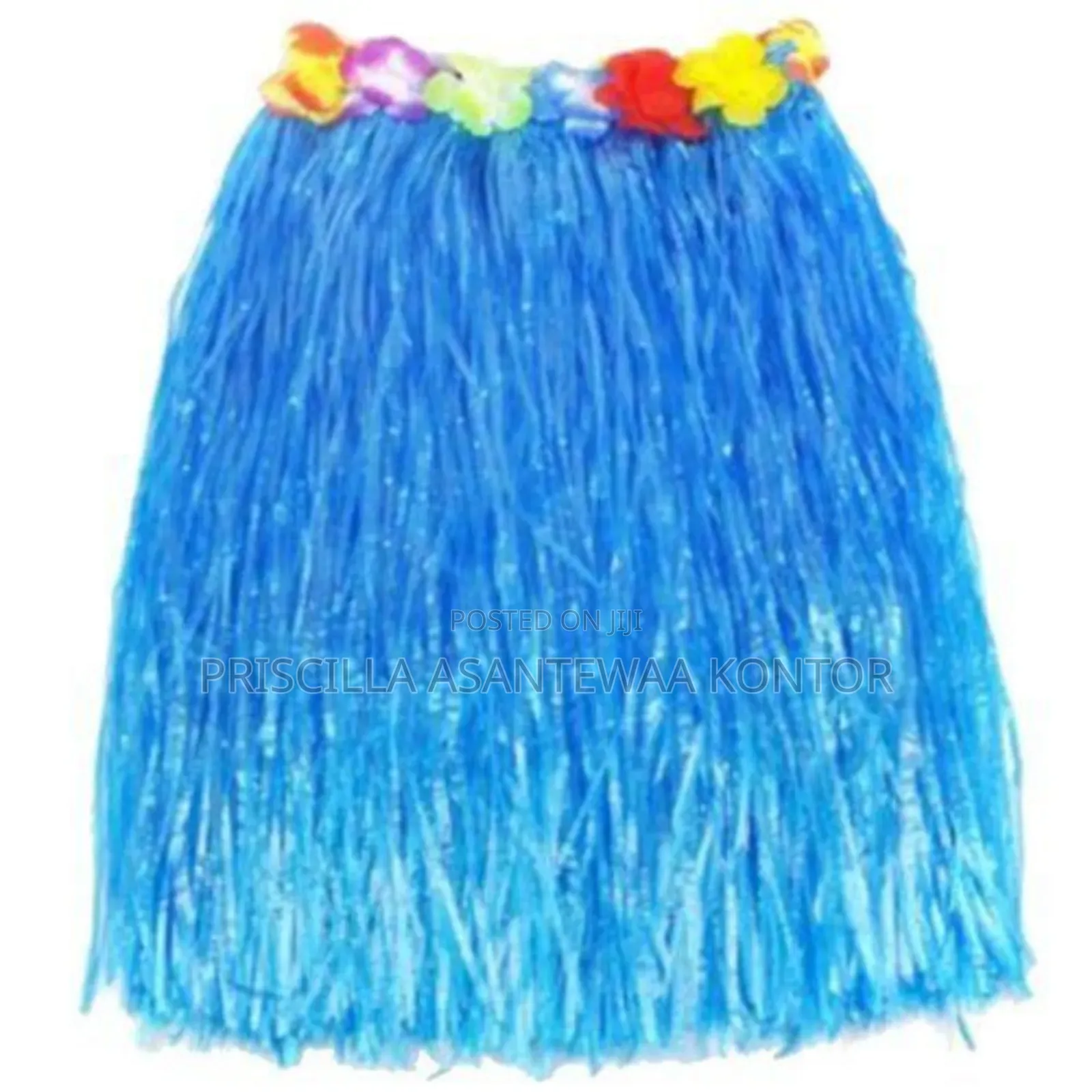 Hawaii Party Themed Costumes