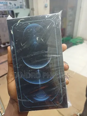 New Apple iPhone 12 Pro Max 256 GB Gray