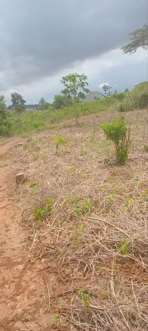Land for Sale at Nsawam Ayibontey