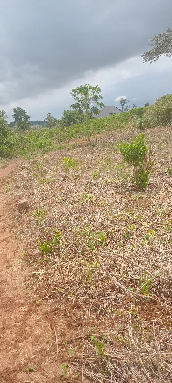 Land for Sale at Nsawam Ayibontey