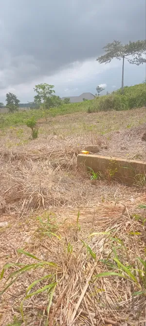 Land for Sale at Nsawam Ayibontey