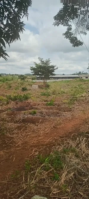 Land for Sale at Nsawam Ayibontey