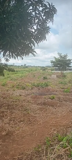 Land for Sale at Nsawam Ayibontey