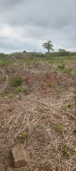 Land for Sale at Nsawam Ayibontey