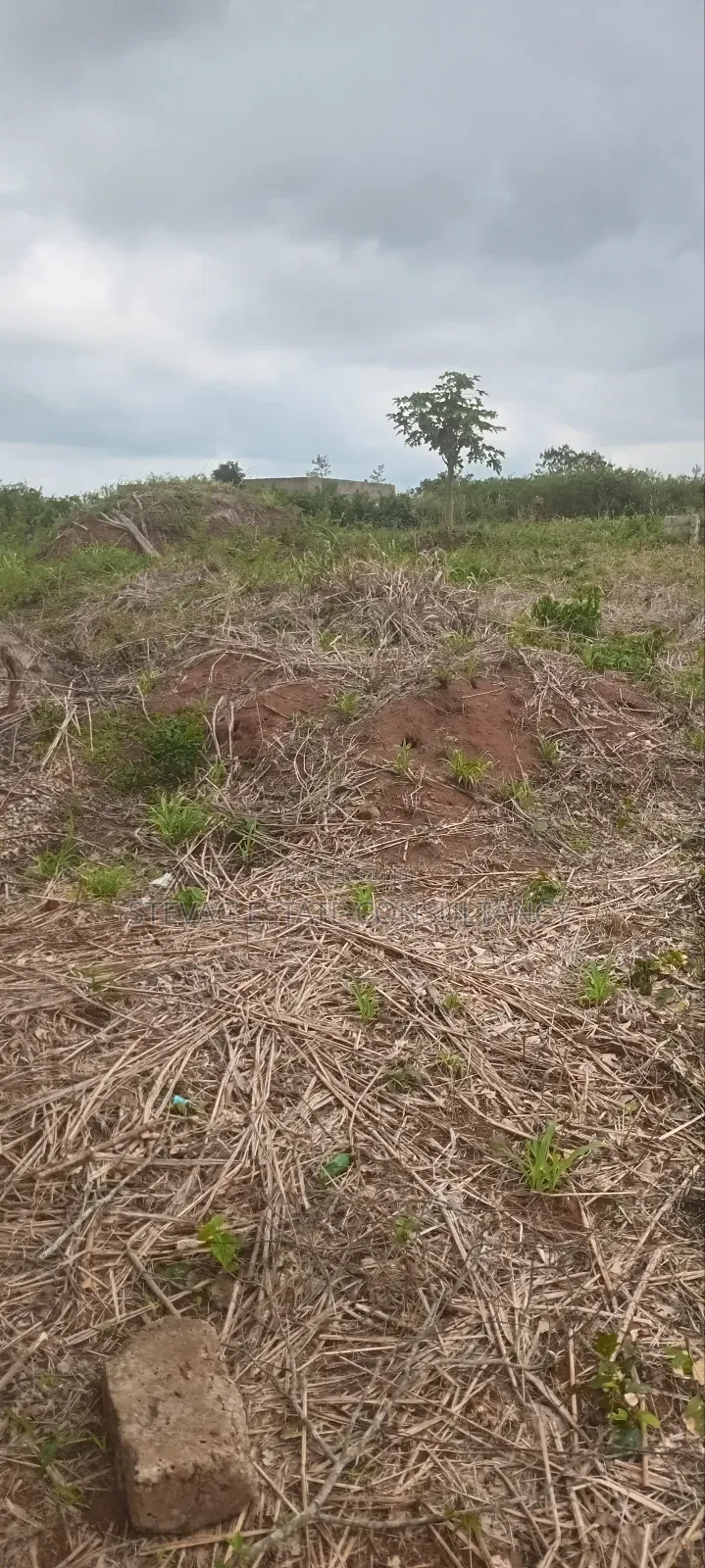 Land for Sale at Nsawam Ayibontey