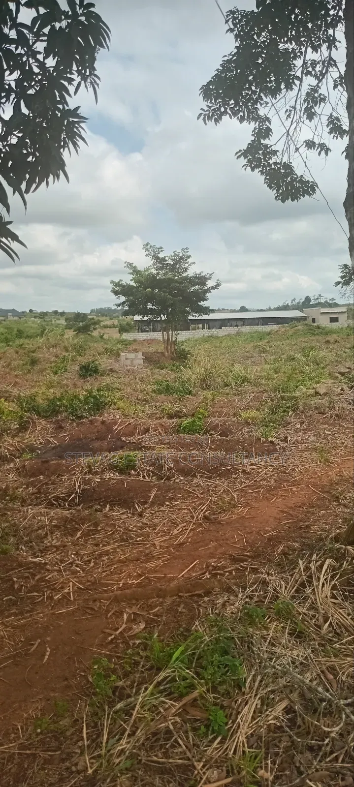 Land for Sale at Nsawam Ayibontey