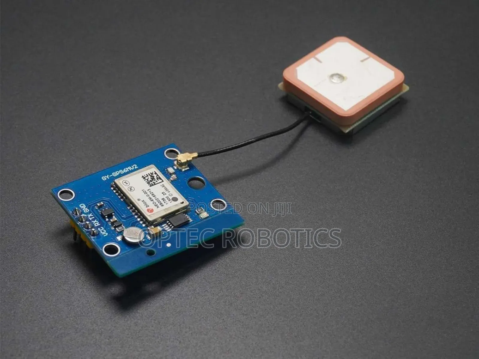 GPS Module