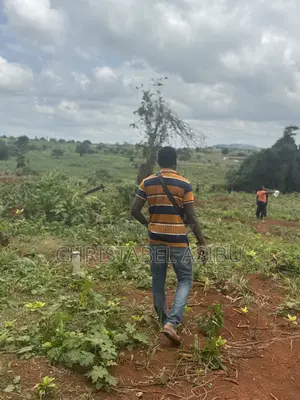 Alpha Investment and Properties Land for Sale