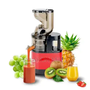 Automatic Cold Press Fruit Juicer