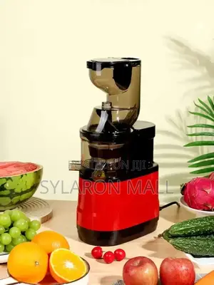 Automatic Cold Press Fruit Juicer