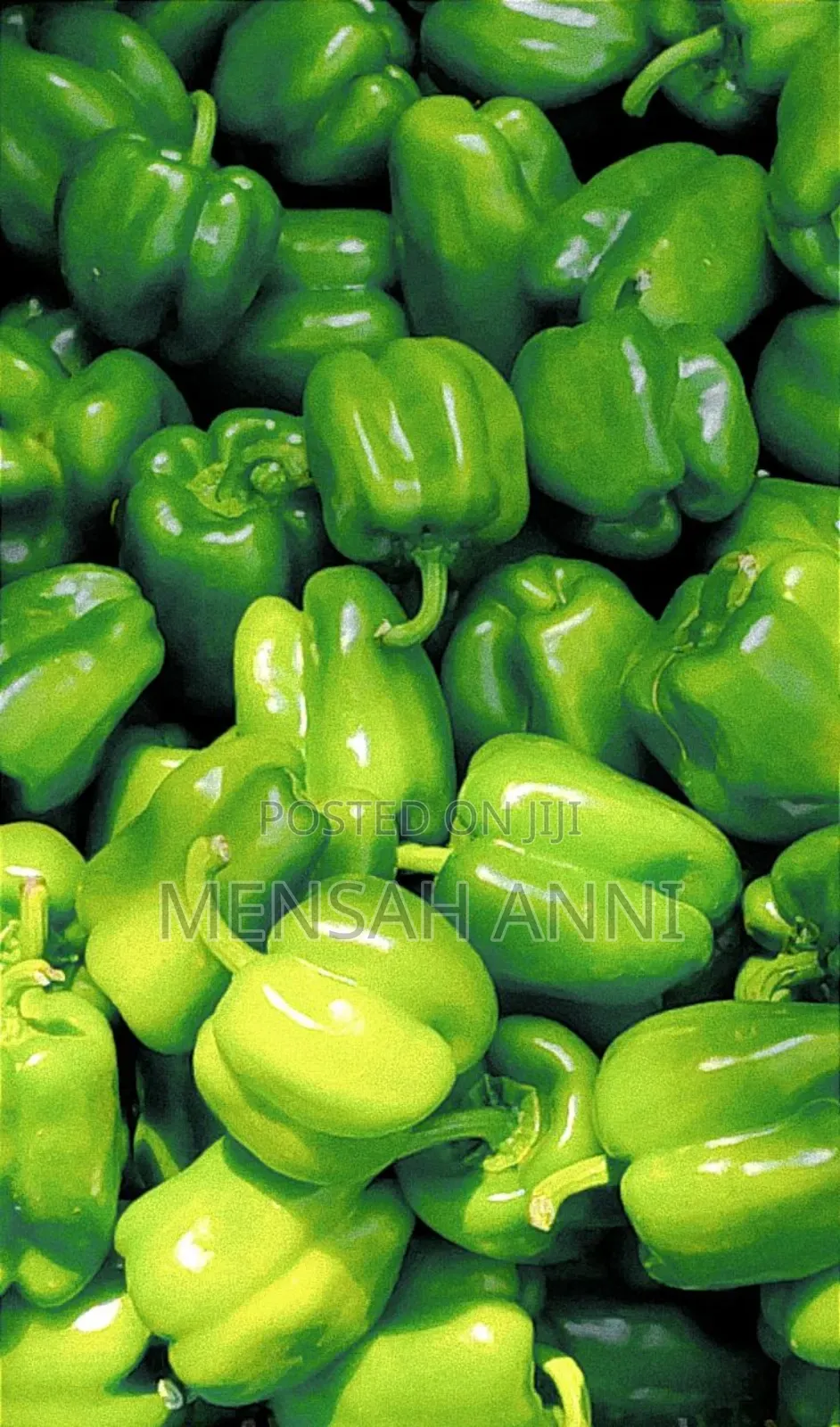 Fresh Veges (Okro, Onions, Bell Pepper)