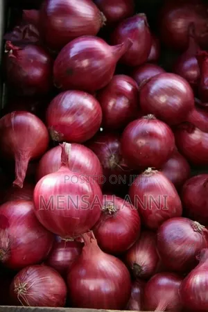 Fresh Veges (Okro, Onions, Bell Pepper)