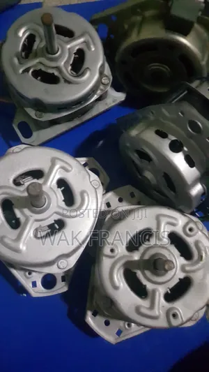 Washing Machine Motor