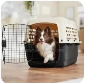 Plastic Mini Dog Cages