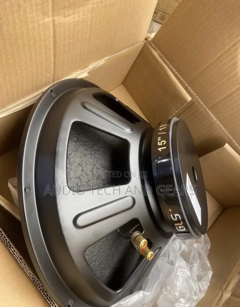 GLS 15 Inches Naked Speaker