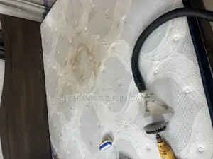 Mattress Cleaners