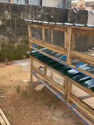 Modern Rabbit Cages