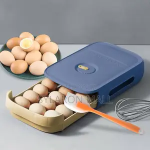 Egg Sliding Storage Box