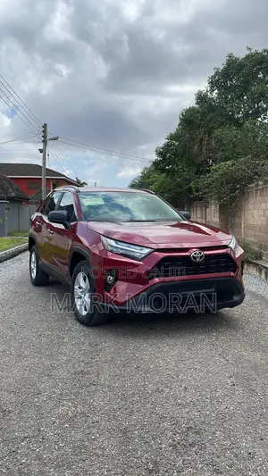 Toyota RAV4 LE AWD 2019 Burgundy