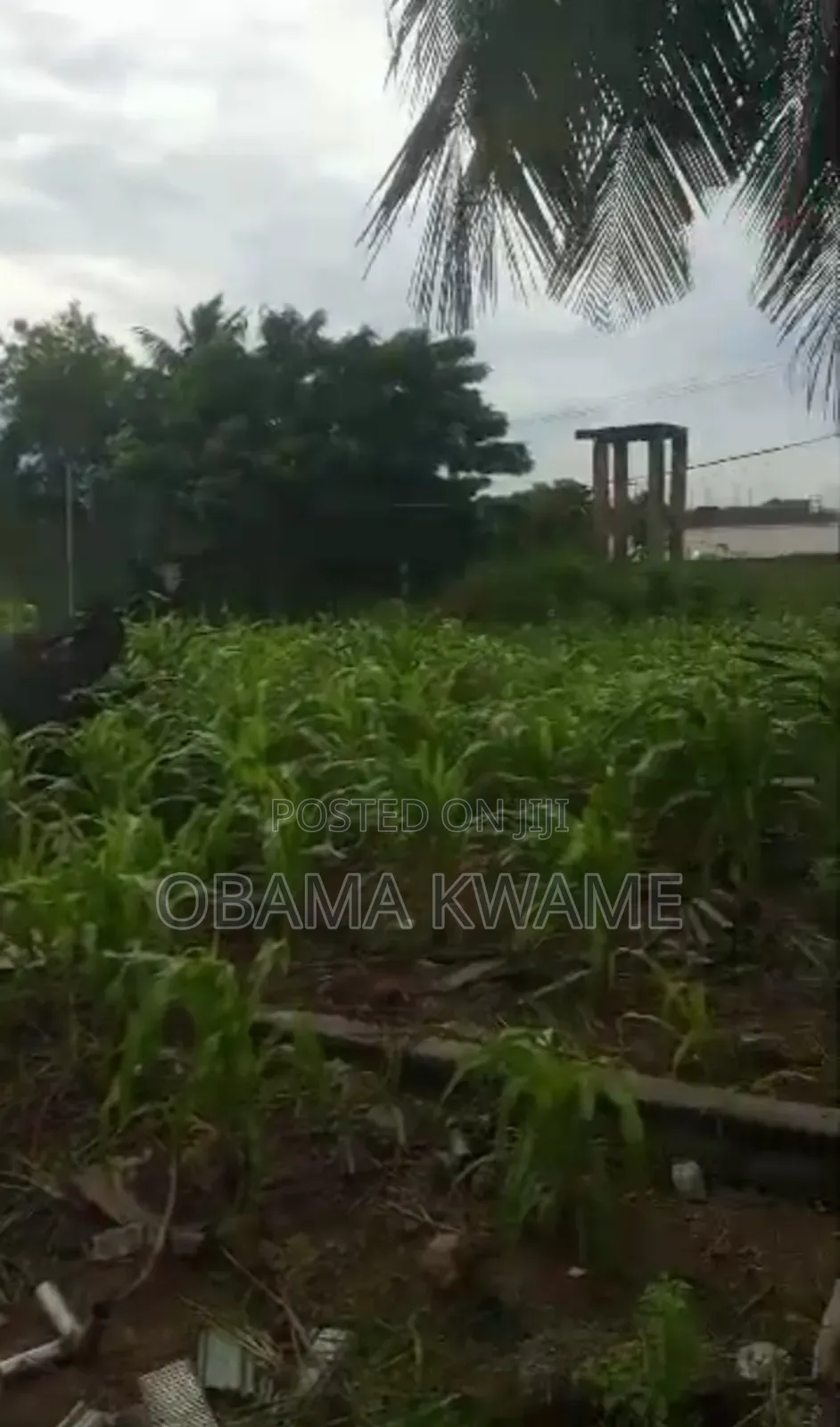 Titled 3 Acres of Roadside Land for Sale Along Oyarifa to Ayimensah