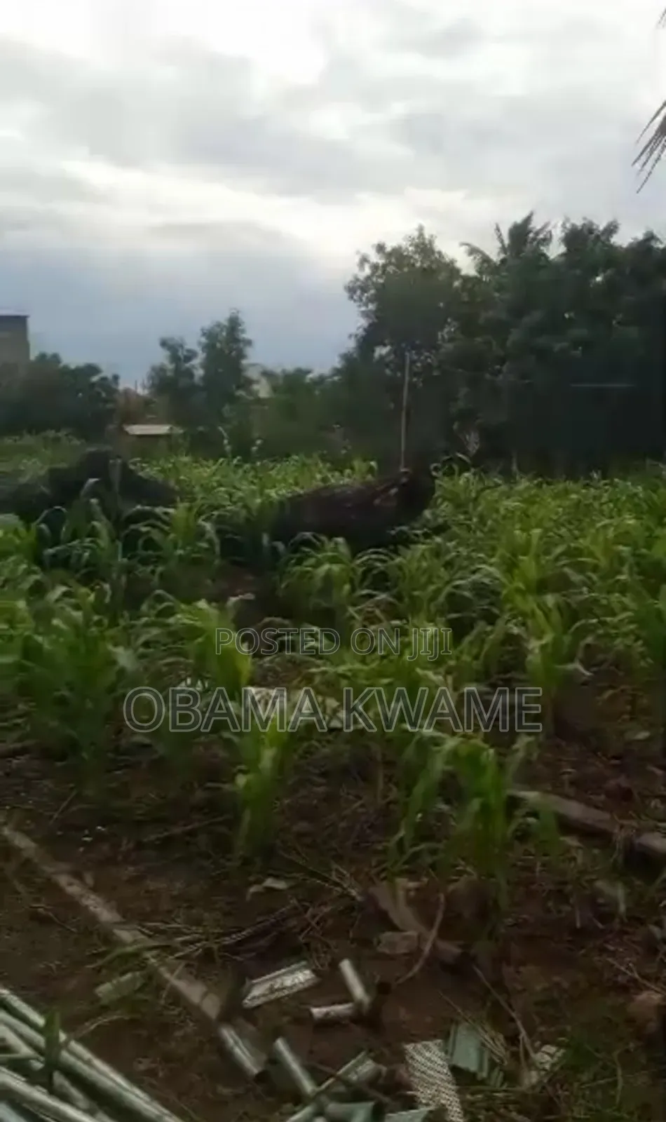 Titled 3 Acres of Roadside Land for Sale Along Oyarifa to Ayimensah
