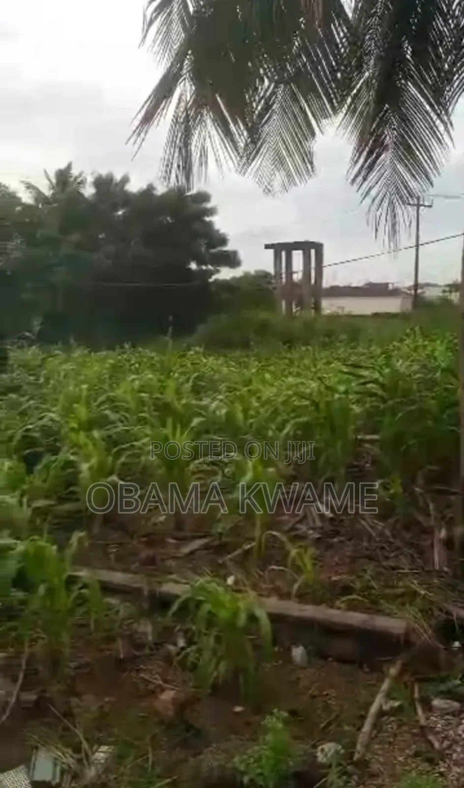 Titled 3 Acres of Roadside Land for Sale Along Oyarifa to Ayimensah