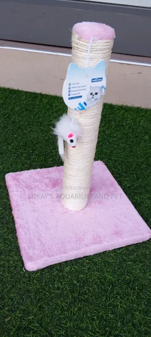 Long Scratching Post For Cat With Play Toy