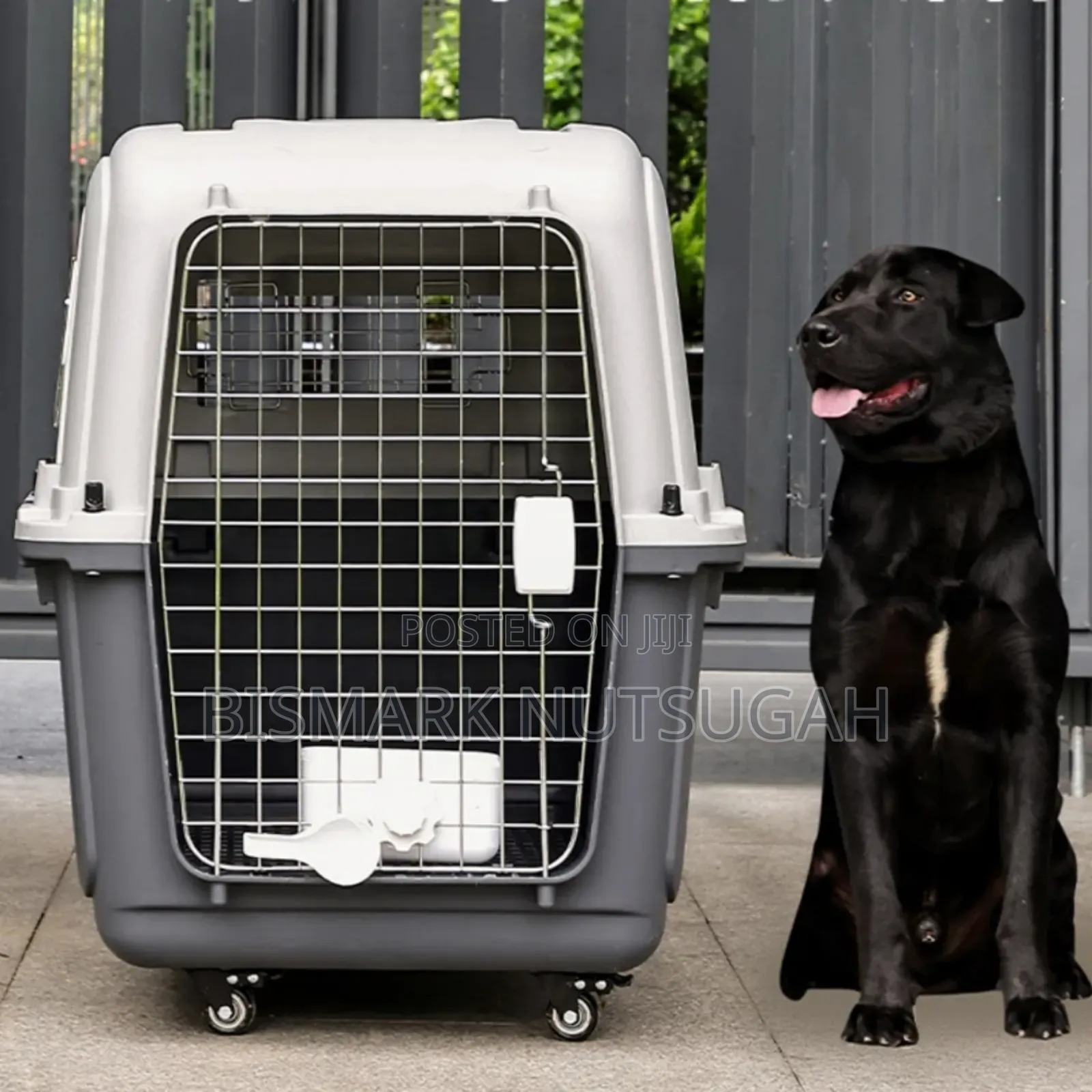 Pet Carrier/Dog Cage