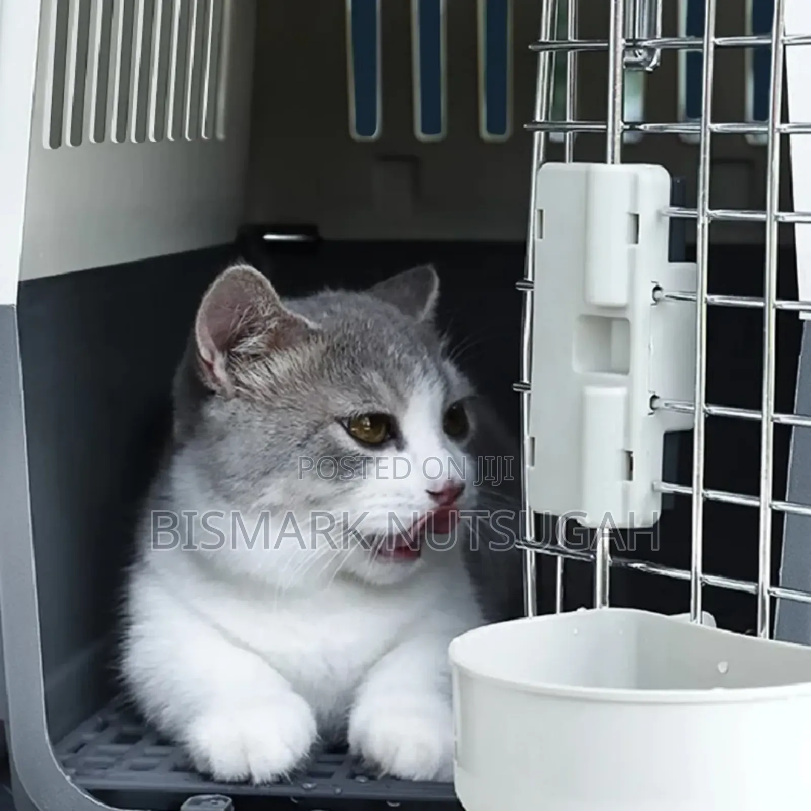 Pet Carrier/Dog Cage