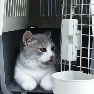 Pet Carrier/Dog Cage